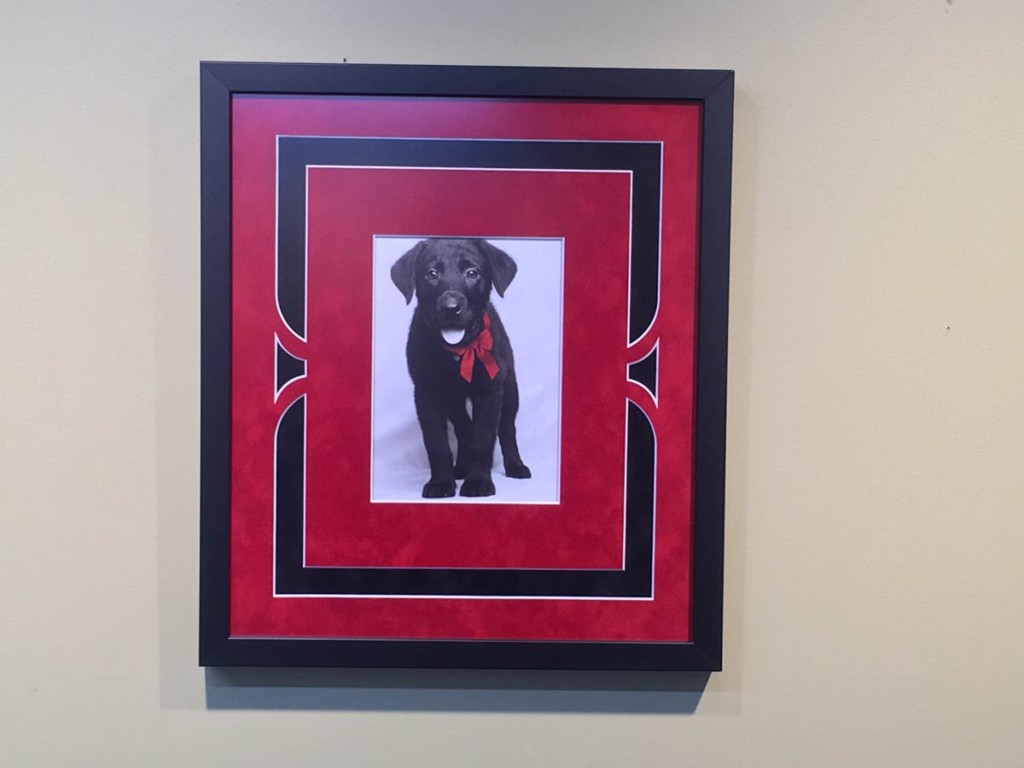 Frame your pet